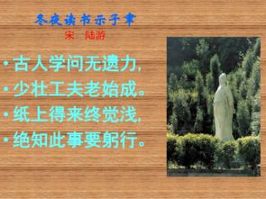 詩(shī)句,有感,讀書(shū)