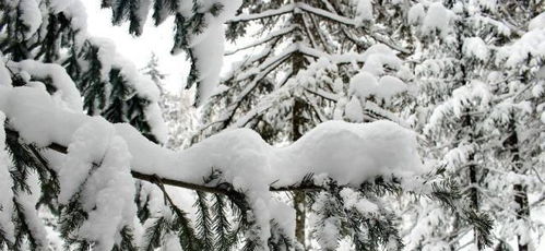 李白關(guān)于人生態(tài)度的詩句,李白面對挫折的詩句,李白寫人生的詩句