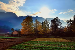 洱海月古詩(shī)句