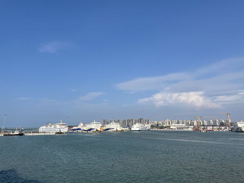 撒網,詩句,日出