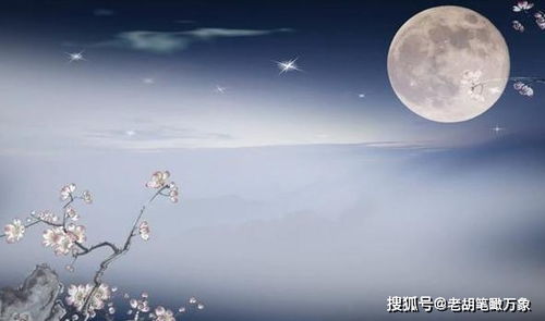 自己的,詩(shī)句,人知,感受