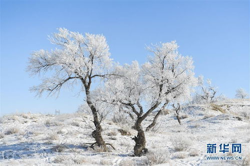 白雪皚皚的原野古詩(shī),白雪皚皚的詩(shī)句古詩(shī),描寫白雪皚皚的古詩(shī)