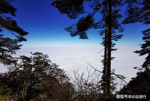 蘇軾關(guān)于春雪詩句