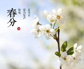 關(guān)于花和幸福的詩句