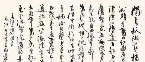 寫樹的詩句現(xiàn)代詩古詩