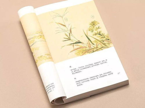 關(guān)于細致的詩句