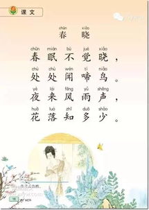 小學(xué)二級古詩120首關(guān)于花的詩句
