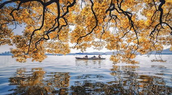 西湖秋天的詩(shī)句古詩(shī)