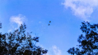 詩(shī)句,覆卮山