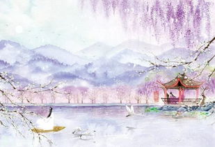 詩句,描寫,追逐,陽光