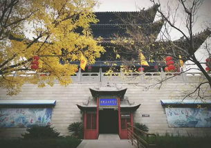 秋日思鄉(xiāng)的詩句古詩,思鄉(xiāng)的詩句古詩,中秋思鄉(xiāng)的詩句古詩