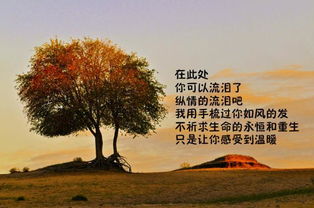 關(guān)于我是的詩句