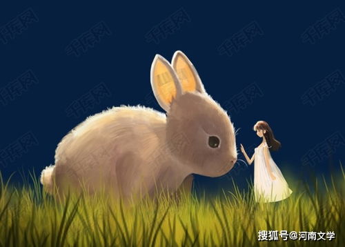 關(guān)于白兔的詩句句子,描寫白兔的詩句,贊美白鷺的詩句