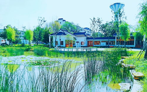 關(guān)于天津?yàn)I海的詩(shī)句