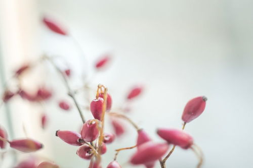 關(guān)于敬佩的詩句