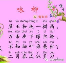 詩句,小孩,聰明