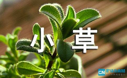 關(guān)于小草頑強(qiáng)生命的詩句