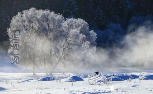 詩(shī)句,詩(shī)中