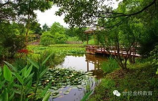 夏天的詩句關于池塘