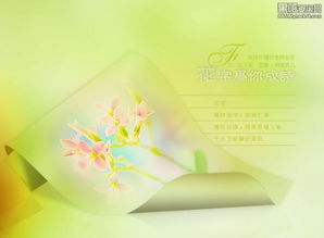 關(guān)于花字的詩句有哪些