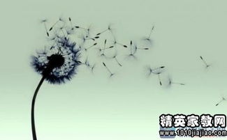 有尊嚴的古詩句