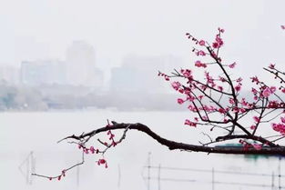 冬的溫暖的古詩(shī)句