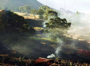 關(guān)于黃昏炊煙的詩(shī)句