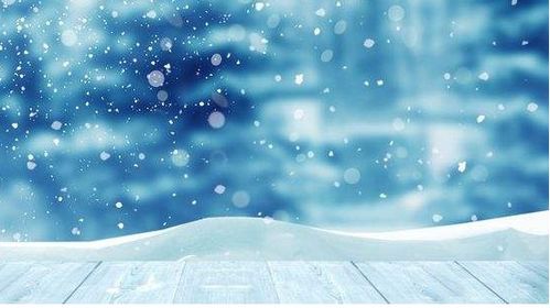 關(guān)于描寫擬人的詩句