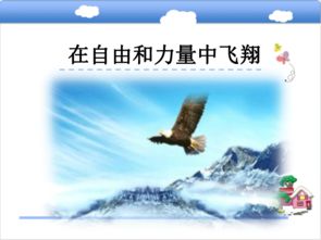 形容鳥(niǎo)飛翔的詩(shī)句古詩(shī),關(guān)于飛翔的詩(shī)句古詩(shī),形容冬天的詩(shī)句古詩(shī)