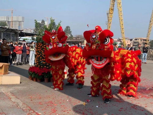 關(guān)于舞獅的古詩句