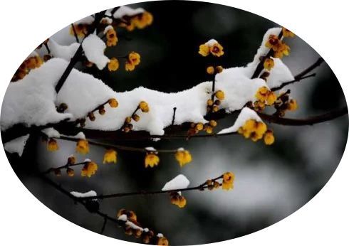 關(guān)于月亮的詩句的對聯(lián)