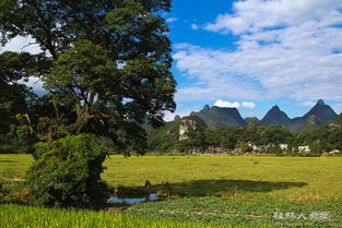 關(guān)于夏天田園風(fēng)光的詩句