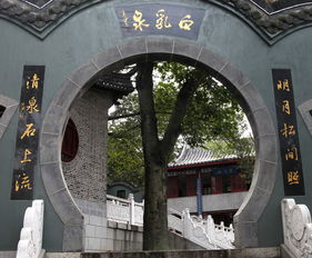 關(guān)于白乳泉的詩句