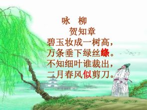 古詩詠柳及詩句意思