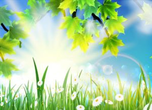 形容春天早晨的太陽唯美的句子,古詩形容早晨的太陽唯美的詞語,春天早晨的太陽怎么形容