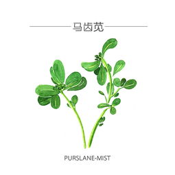 描寫動物和植物的詩句,有動物和植物的詩句,帶動物和植物的詩句