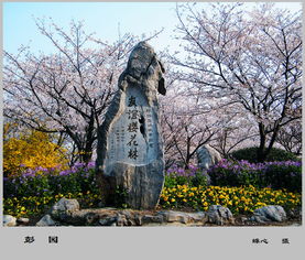 關(guān)于彭園的詩句