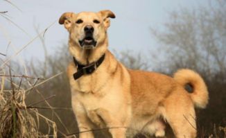 與水有關(guān)的古詩句,風(fēng)有關(guān)的古詩句,有關(guān)朋友的古詩句