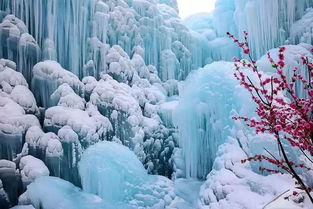 雪的古詩(shī)句南秦雪