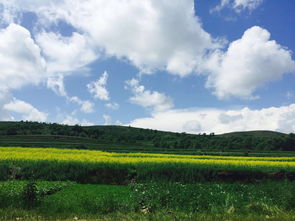 草原秋色的贊美詩句古詩