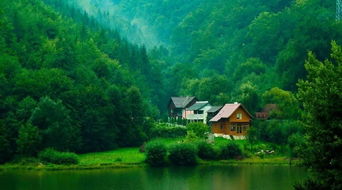 關(guān)于山林的風(fēng)景詩句