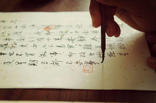 關(guān)于書信少的詩句