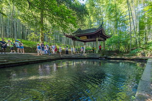 坐在亭子里賞景的古詩(shī)句