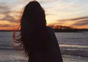 詩句,優(yōu)美,傷感