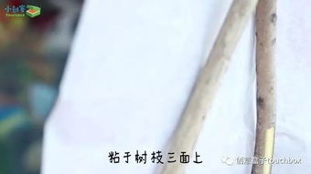 關(guān)于紙的簡(jiǎn)單詩(shī)句