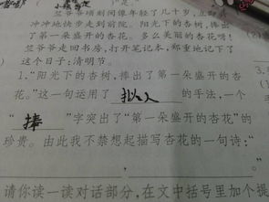 關(guān)于春天或杏花的古詩句