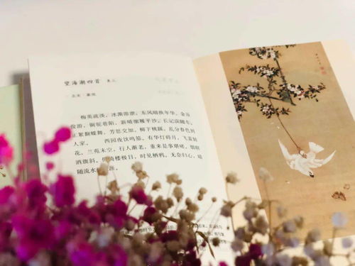 詩(shī)句,形容,醫(yī)生