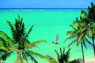 關(guān)于大海陽光沙灘的詩句