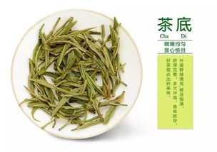 關于信陽毛尖的詩句,贊美信陽毛尖的詩句,描寫信陽毛尖的詩句