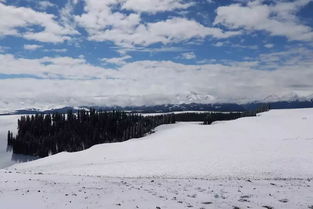 關(guān)于雨或雪的詩(shī)句
